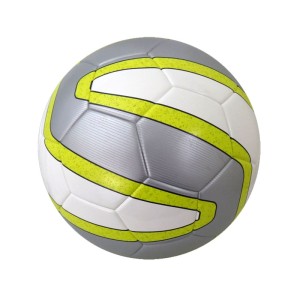Professional Soccer Balls
